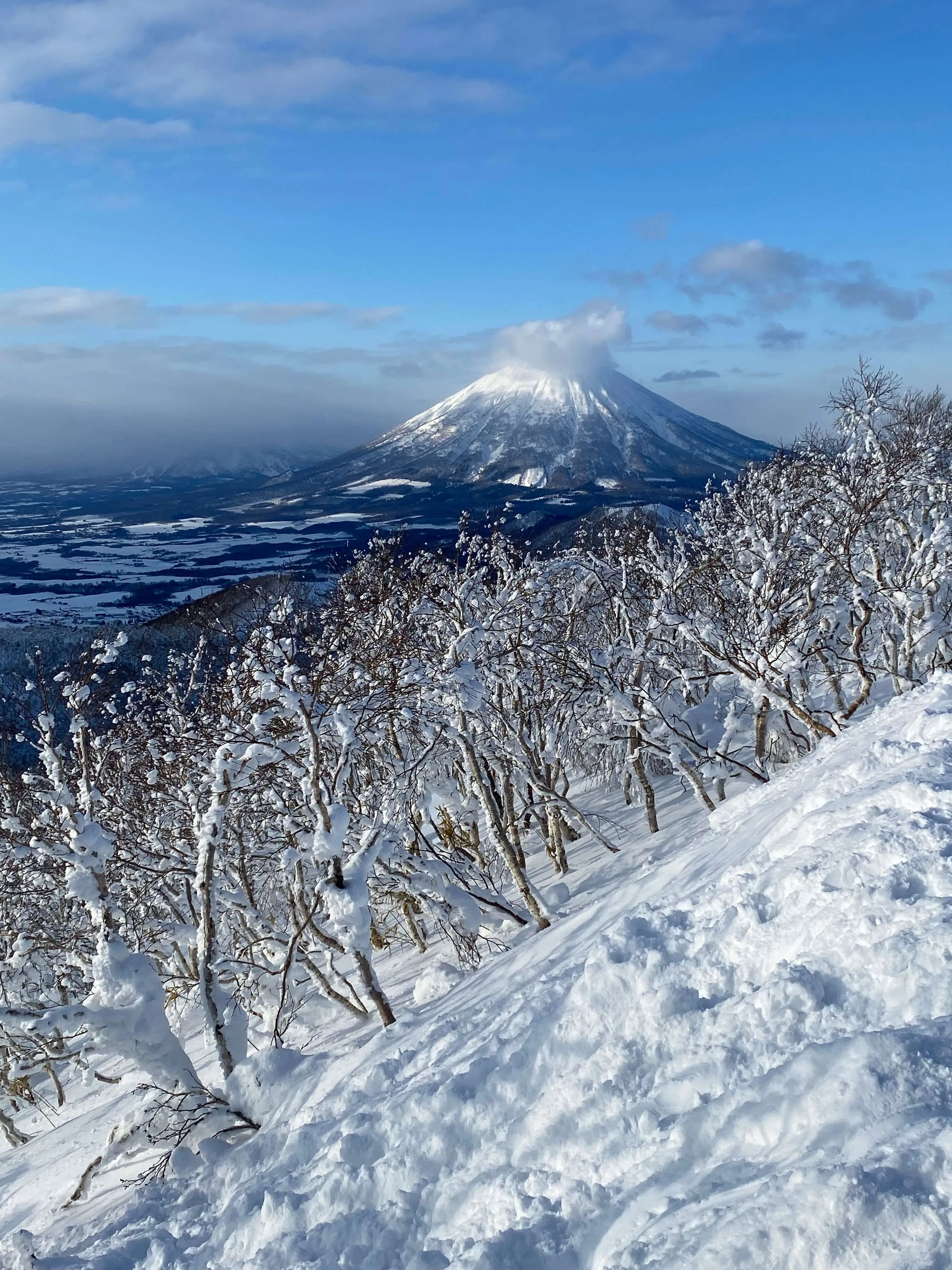 japan volcano trees angle pano portrait original